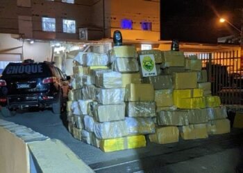 3,6 toneladas de maconha foram apreendidas pela PM. Foto: Divulgação Polícia Militar