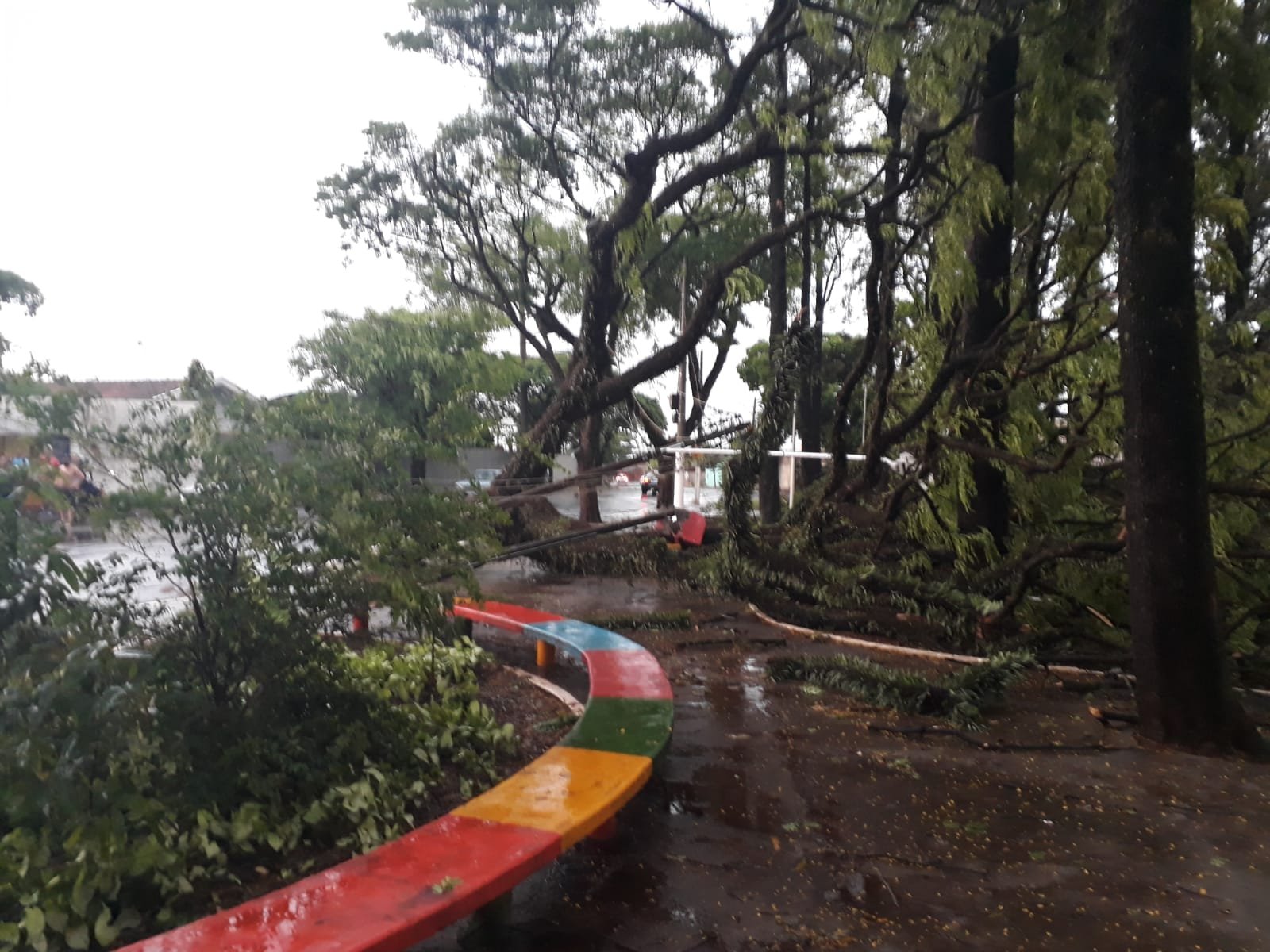 Árvores caídas na Vila Recreio após temporal em Londrina - Foto: Colaboração